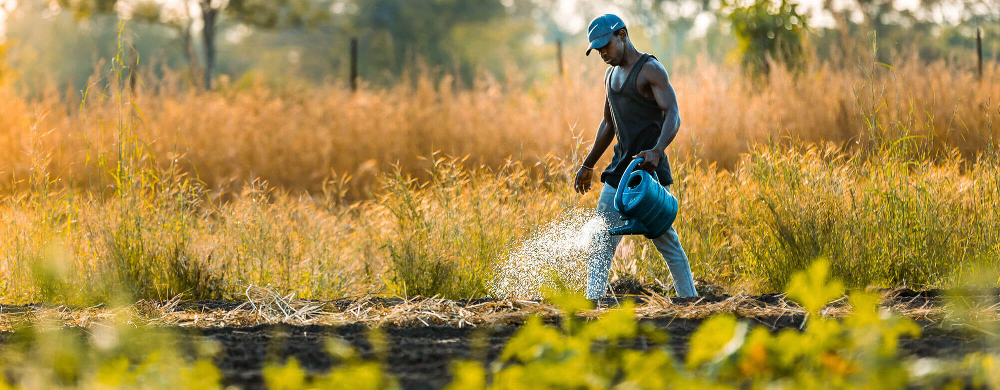 wortundtat helps young people learn to become farmers in Tanzania Man watering a piece of land with watering can
